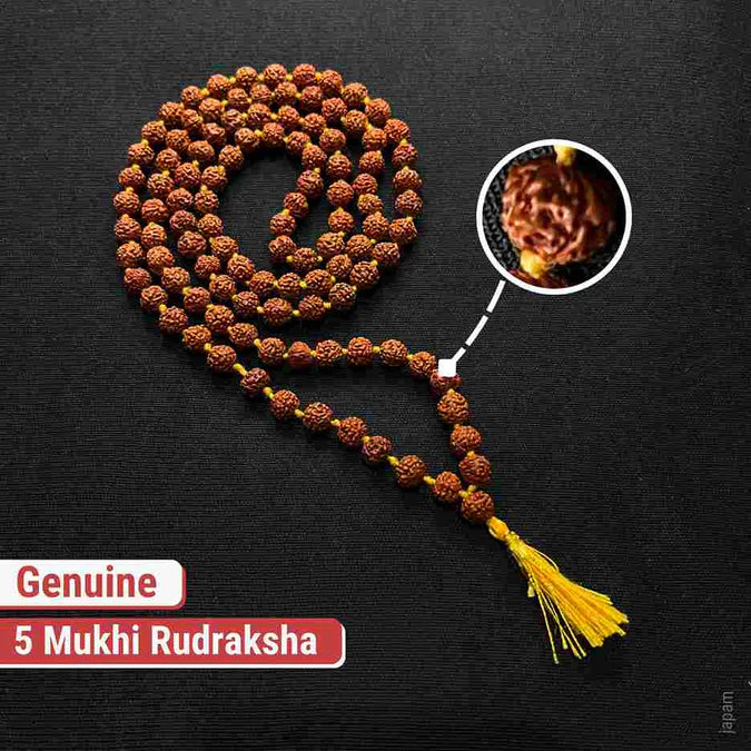 Rudraksha Mala - 108+1 Beads